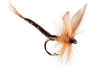 Trout Flies Code 138 100 Assorted Good Quality Trout Flies on Mustad Hooks
